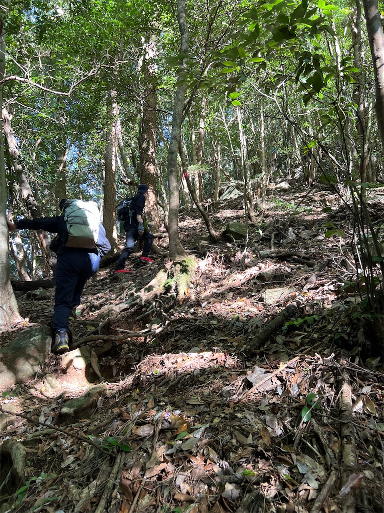 f:id:chitoseclimb:20260507200740j:image f:id:chitoseclimb:20260507200740j:image