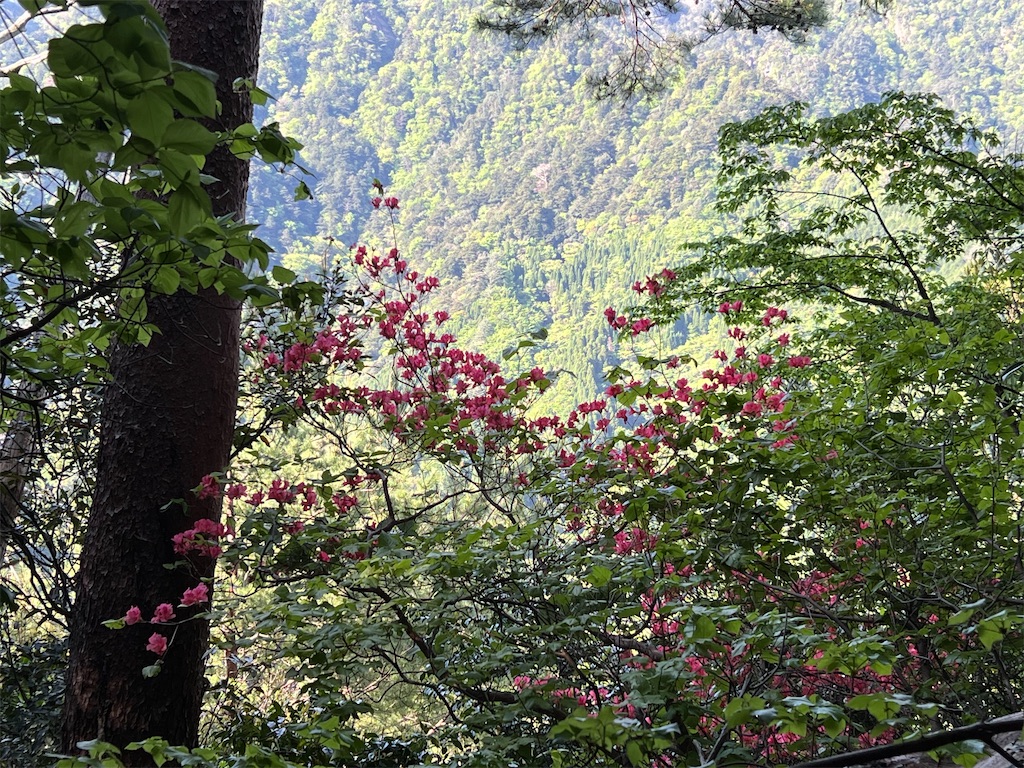 f:id:chitoseclimb:20260507200822j:image f:id:chitoseclimb:20260507200822j:image
