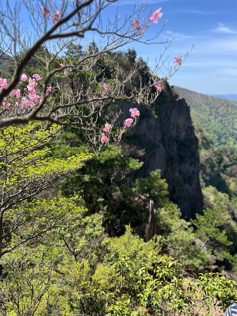 f:id:chitoseclimb:20260507201410j:image f:id:chitoseclimb:20260507201410j:image