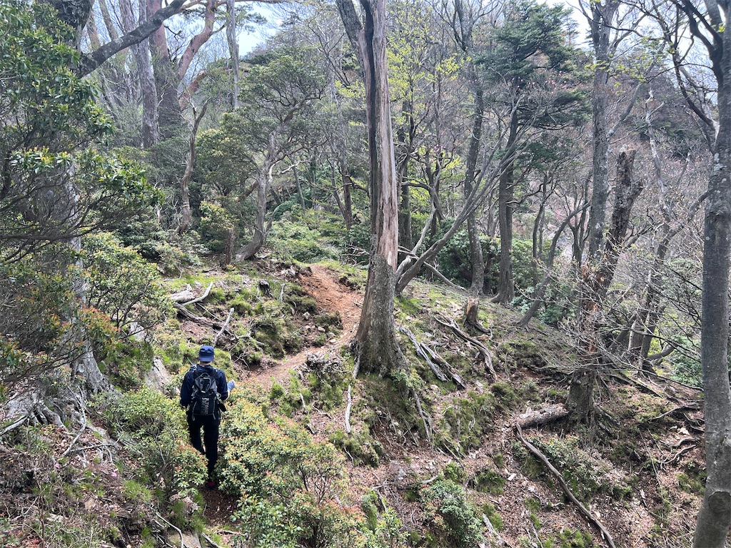 f:id:chitoseclimb:20260507201503j:image f:id:chitoseclimb:20260507201503j:image