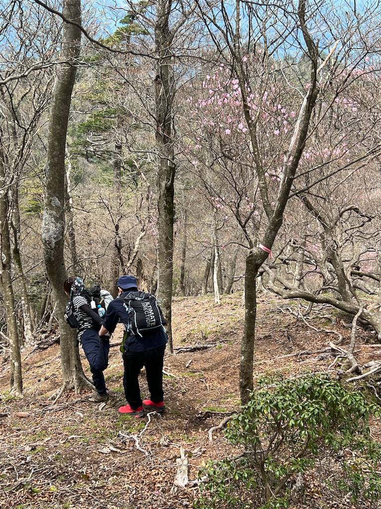 f:id:chitoseclimb:20260507202330j:image f:id:chitoseclimb:20260507202330j:image