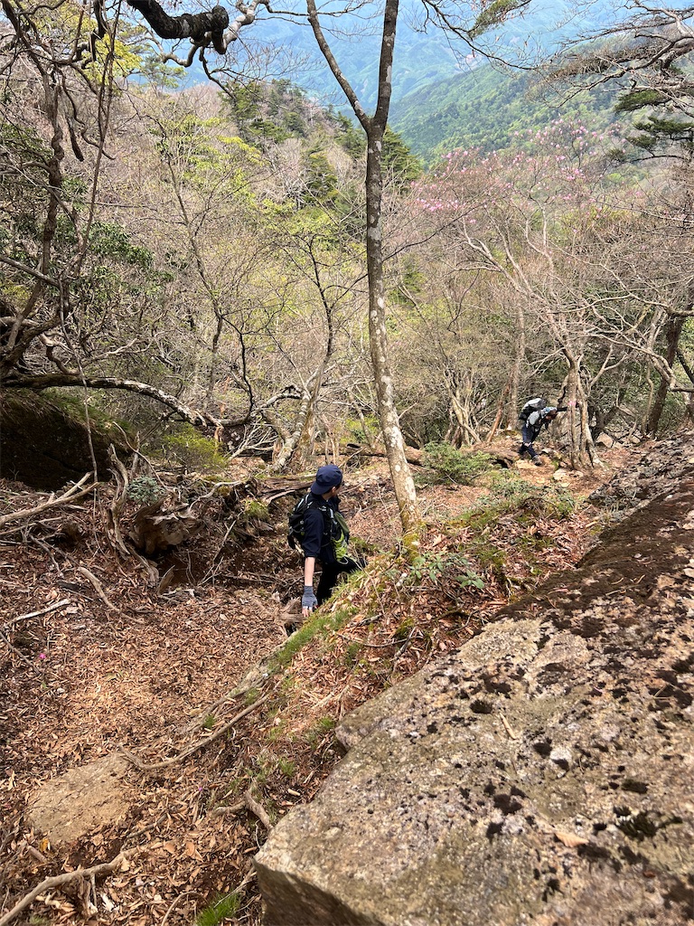f:id:chitoseclimb:20260507202401j:image f:id:chitoseclimb:20260507202401j:image