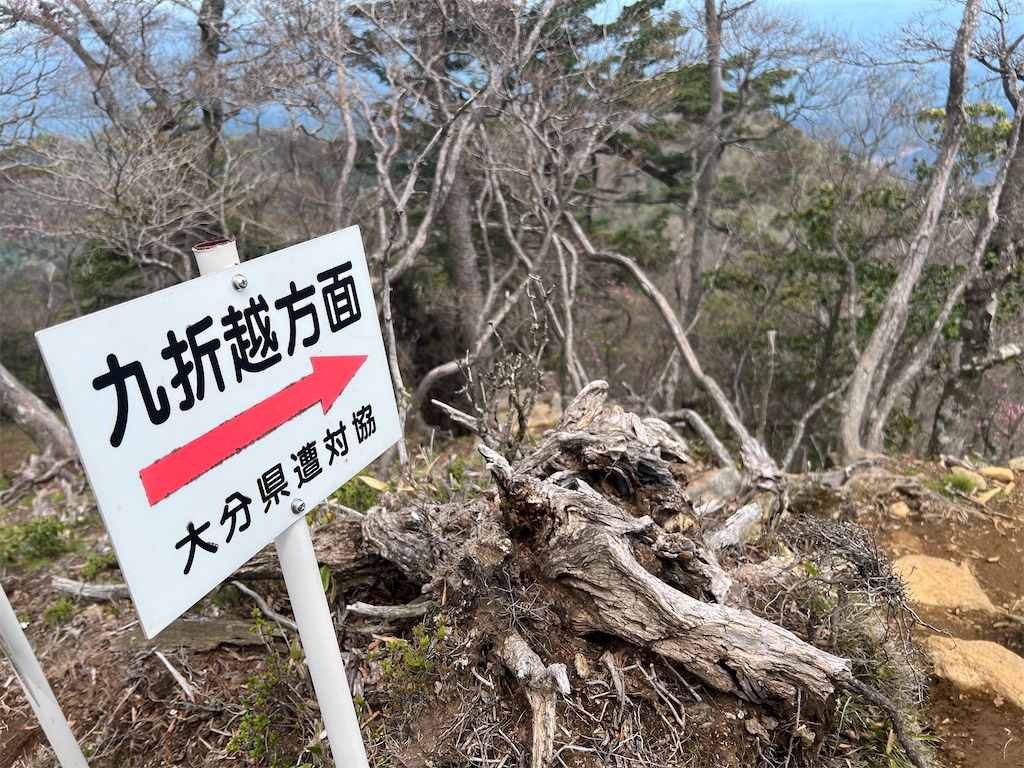 f:id:chitoseclimb:20260507202805j:image f:id:chitoseclimb:20260507202805j:image