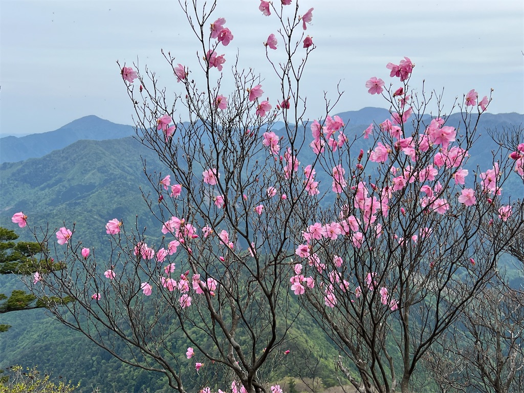 f:id:chitoseclimb:20260507202848j:image f:id:chitoseclimb:20260507202848j:image