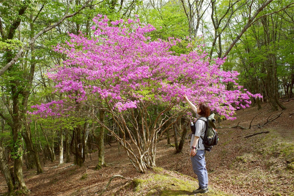 f:id:chitoseclimb:20260507203418j:image f:id:chitoseclimb:20260507203418j:image