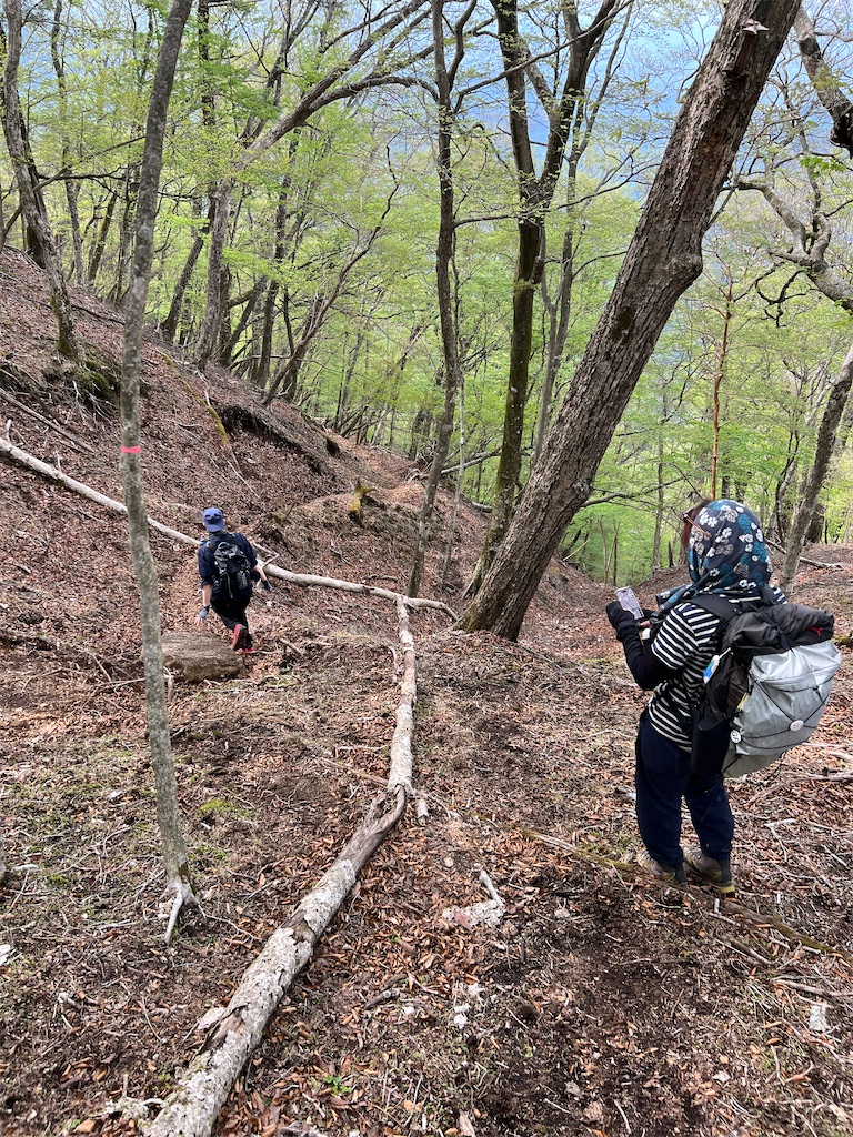 f:id:chitoseclimb:20260507203508j:image f:id:chitoseclimb:20260507203508j:image
