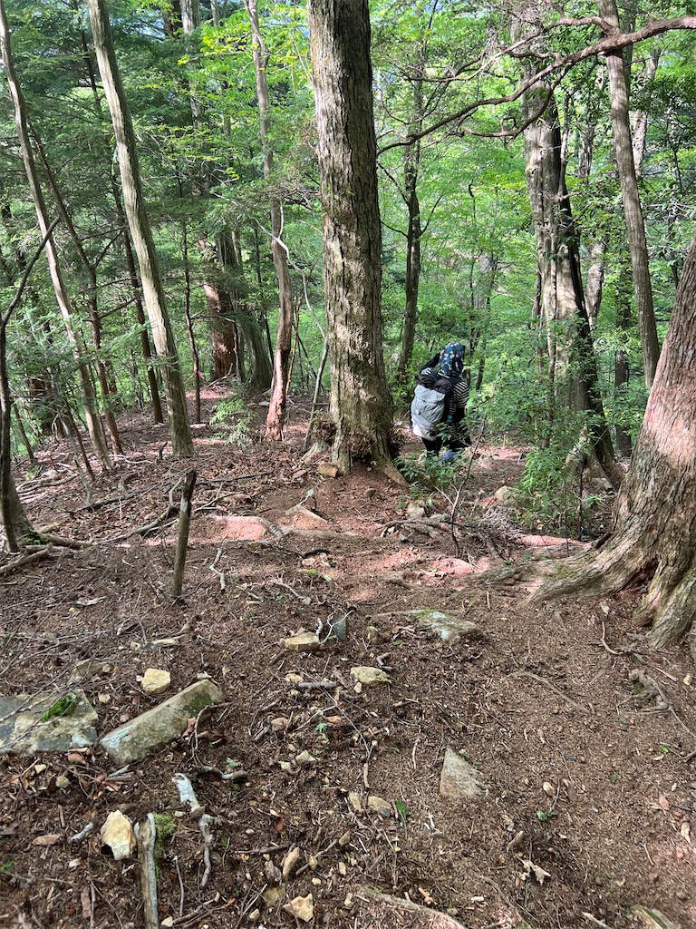 f:id:chitoseclimb:20260507203515j:image f:id:chitoseclimb:20260507203515j:image