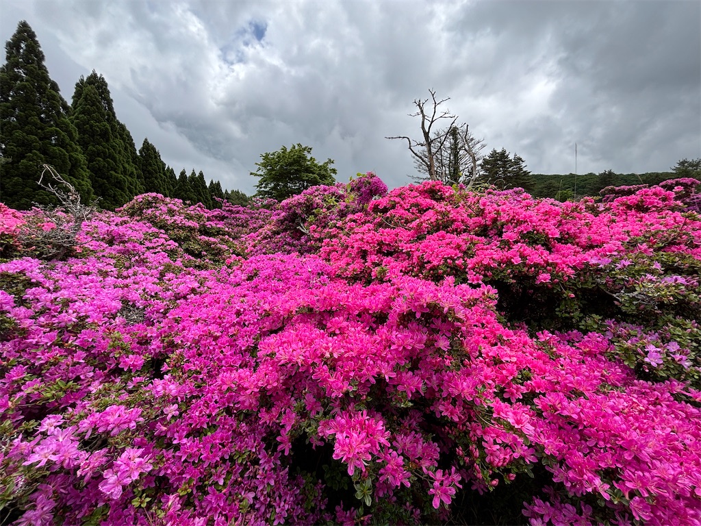 f:id:chitoseclimb:20260524210409j:image