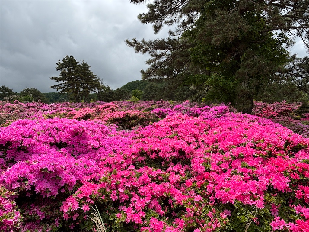 f:id:chitoseclimb:20260524210412j:image