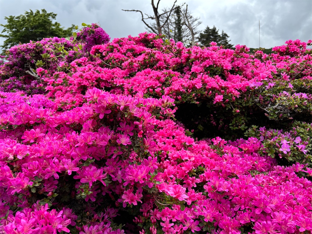 f:id:chitoseclimb:20260524210419j:image