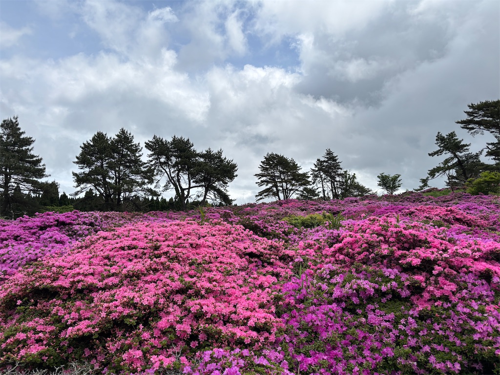 f:id:chitoseclimb:20260524210439j:image