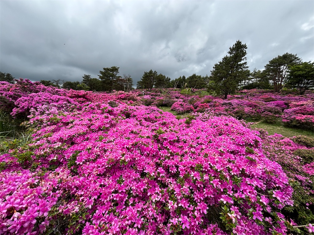 f:id:chitoseclimb:20260524210442j:image