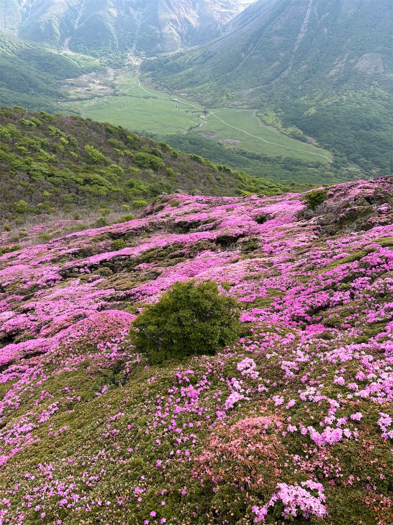 f:id:chitoseclimb:20260630215232j:image