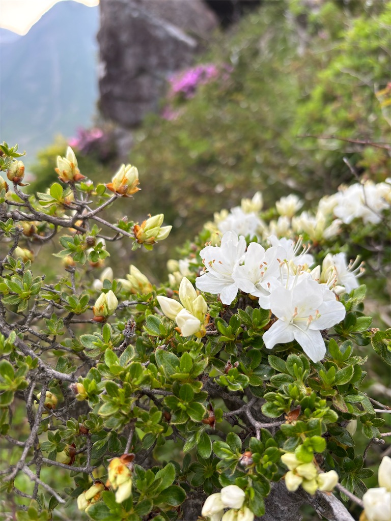 f:id:chitoseclimb:20260630225716j:image