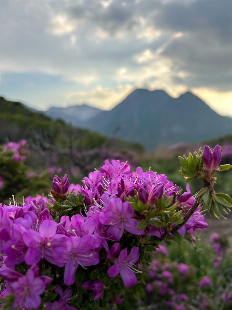 f:id:chitoseclimb:20260630235700j:image