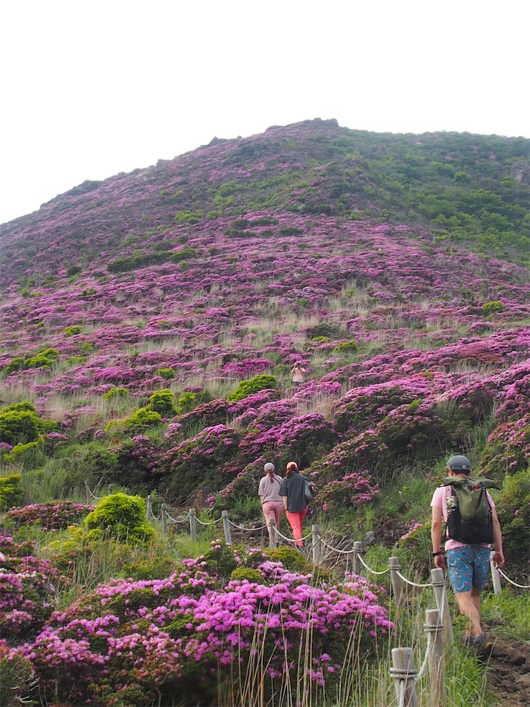 f:id:chitoseclimb:20260704120056j:image