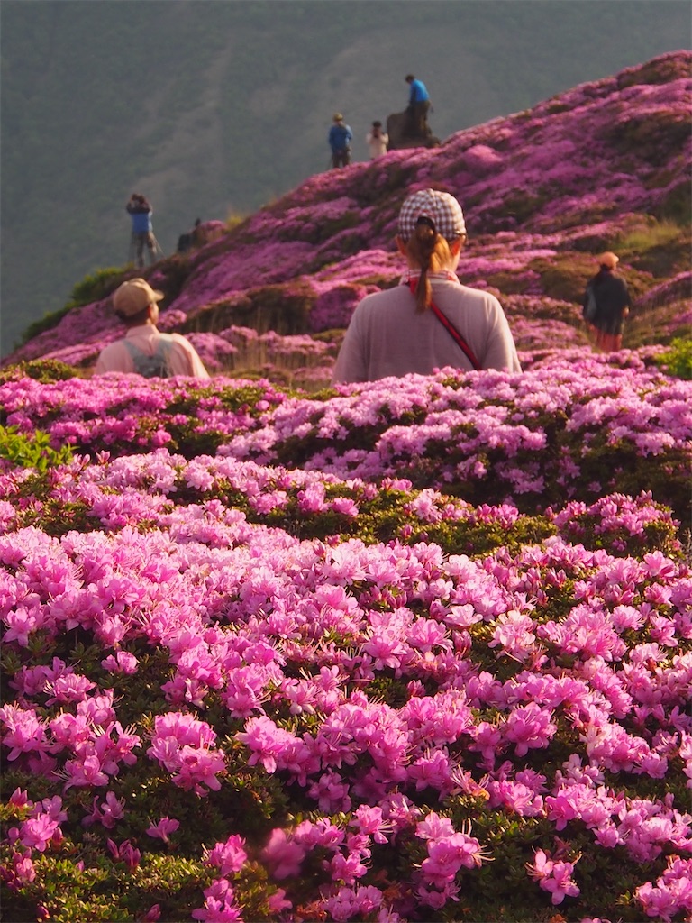f:id:chitoseclimb:20260704120327j:image