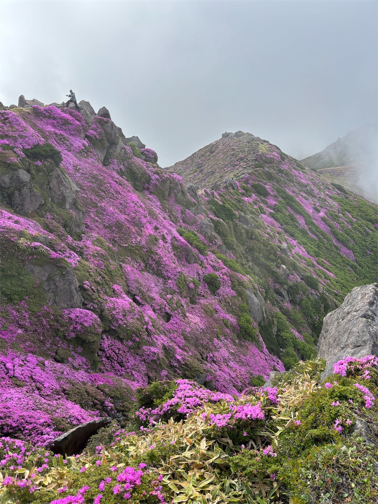 f:id:chitoseclimb:20260707235153j:image