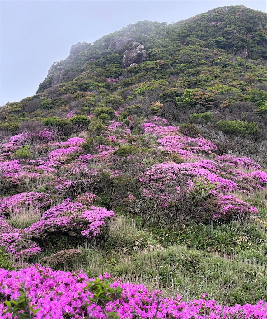 f:id:chitoseclimb:20260708000328j:image
