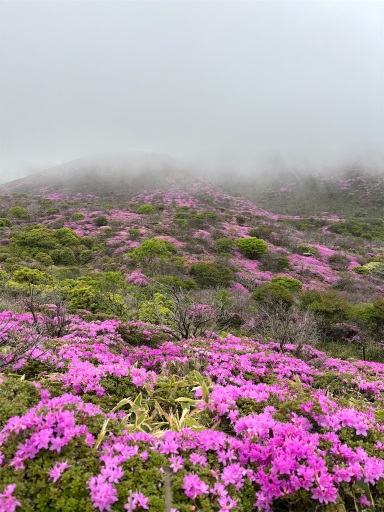 f:id:chitoseclimb:20260708001028j:image