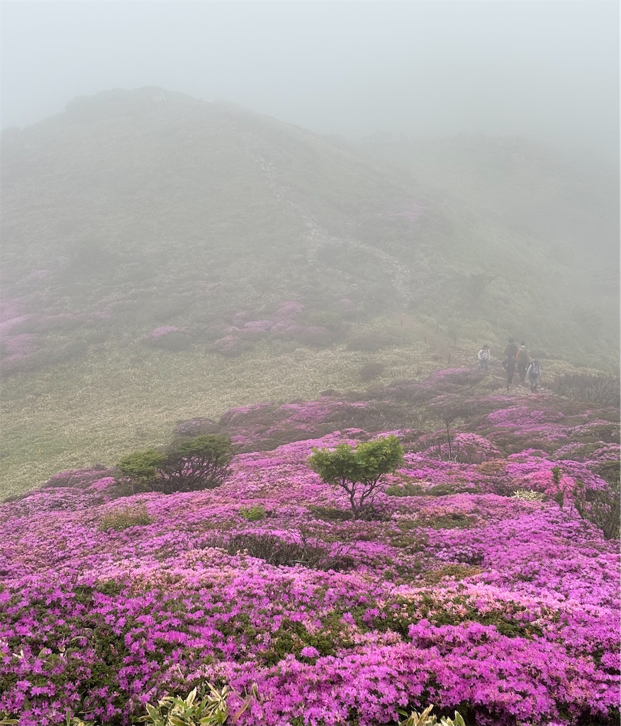 f:id:chitoseclimb:20260708001835j:image