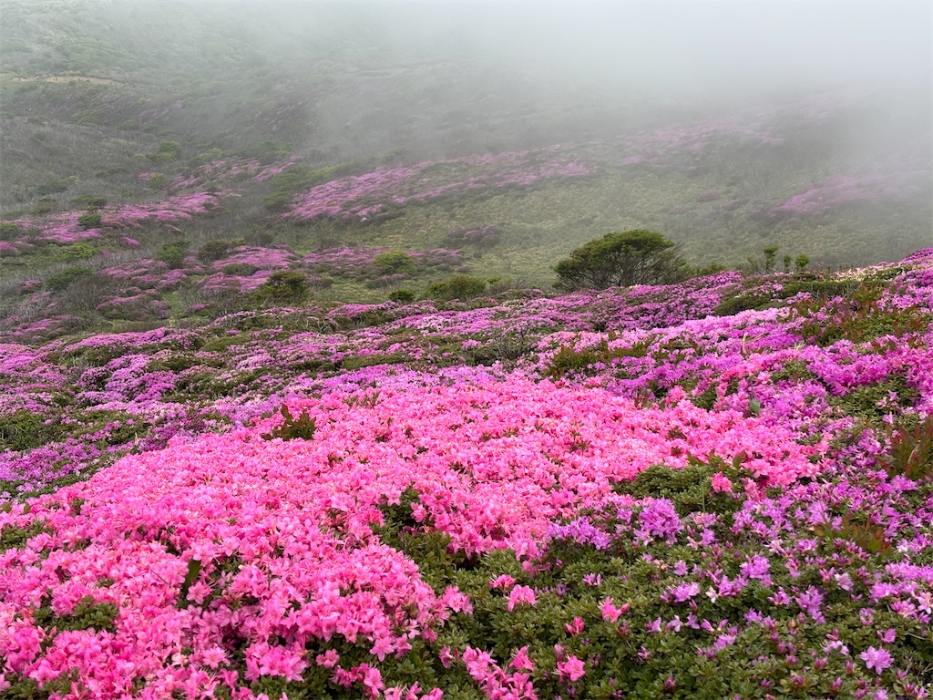 f:id:chitoseclimb:20260708003828j:image