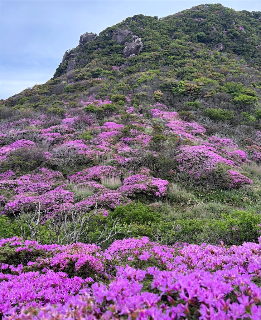 f:id:chitoseclimb:20260708004714j:image