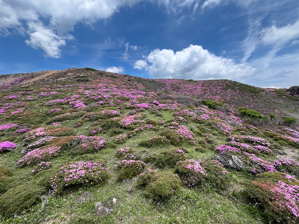 f:id:chitoseclimb:20260731232510j:image f:id:chitoseclimb:20260731232510j:image