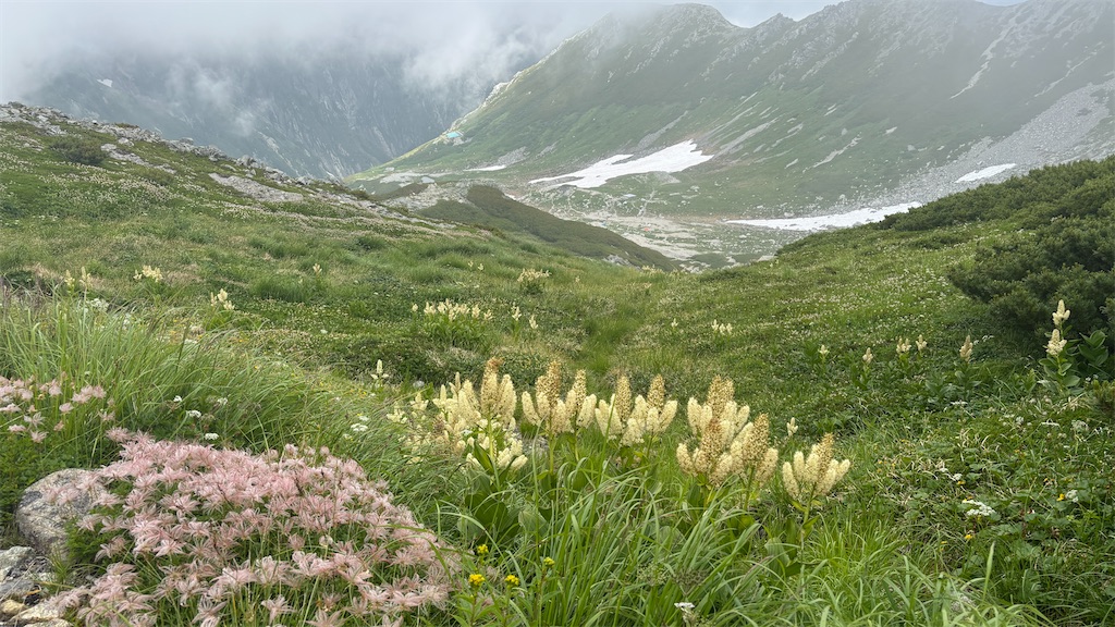 f:id:chitoseclimb:20260802155724j:image f:id:chitoseclimb:20260802155724j:image