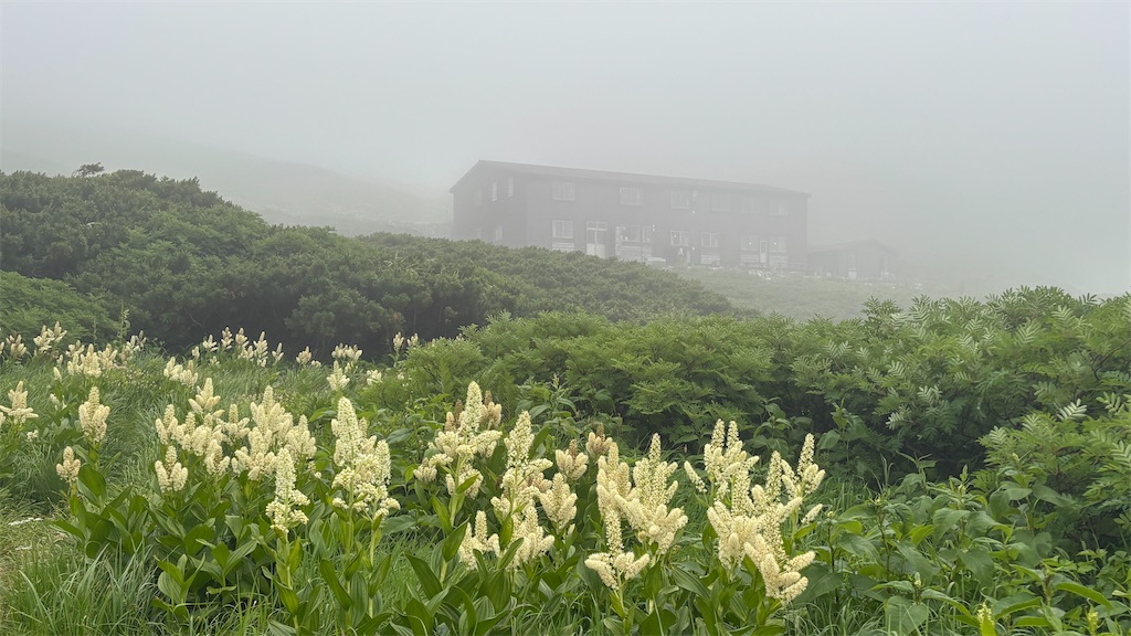 f:id:chitoseclimb:20260802164845j:image f:id:chitoseclimb:20260802164845j:image