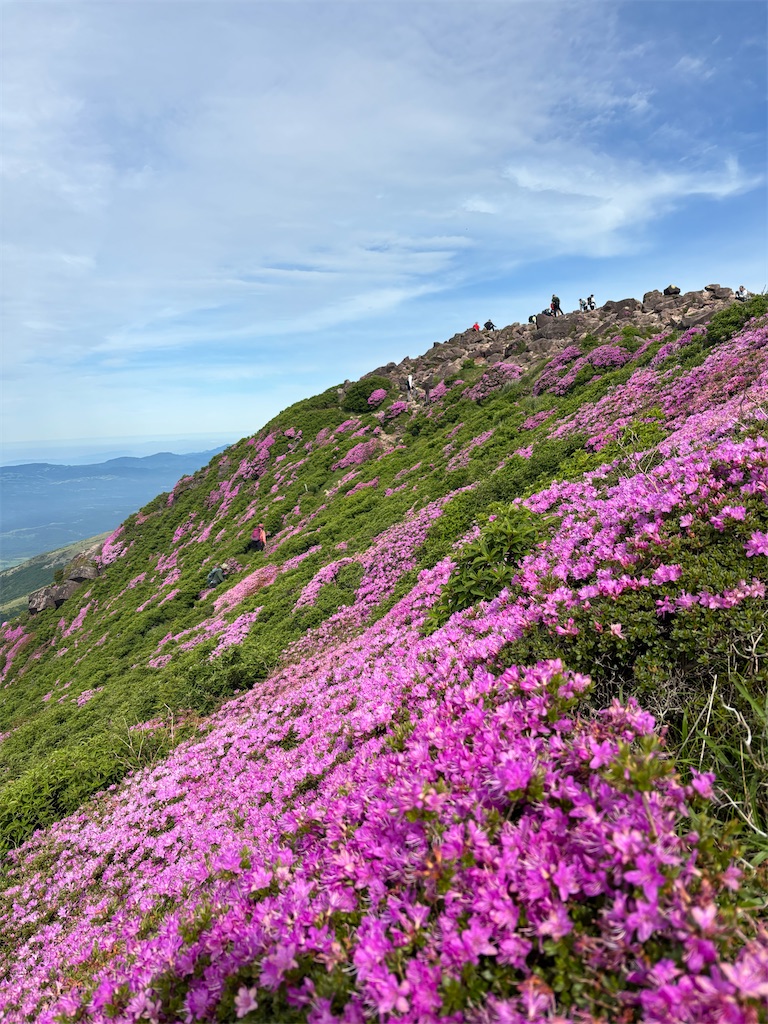 f:id:chitoseclimb:20260808110833j:image f:id:chitoseclimb:20260808110833j:image
