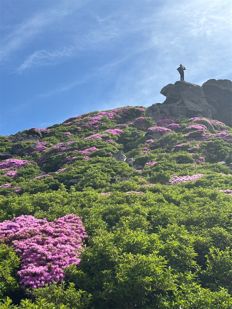 f:id:chitoseclimb:20260808122352j:image f:id:chitoseclimb:20260808122352j:image