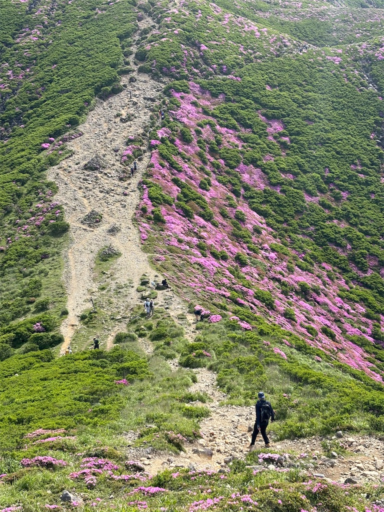 f:id:chitoseclimb:20260809112510j:image