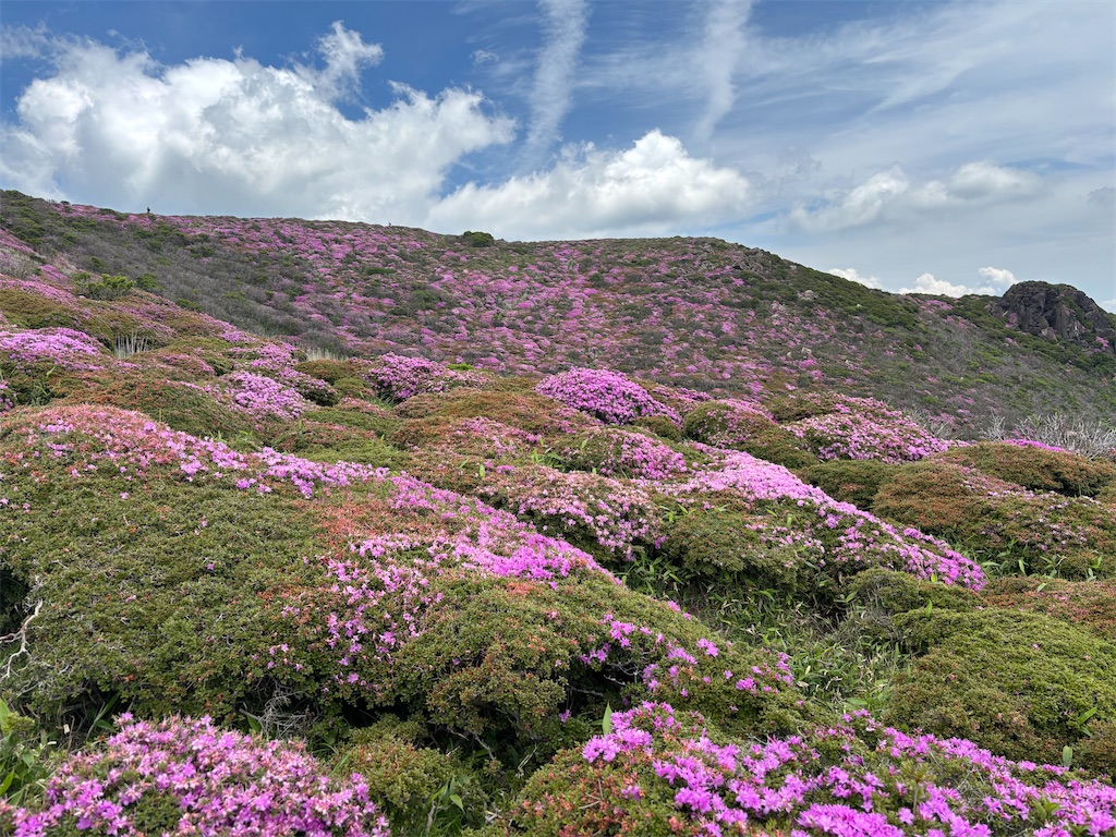 f:id:chitoseclimb:20260809121057j:image f:id:chitoseclimb:20260809121057j:image