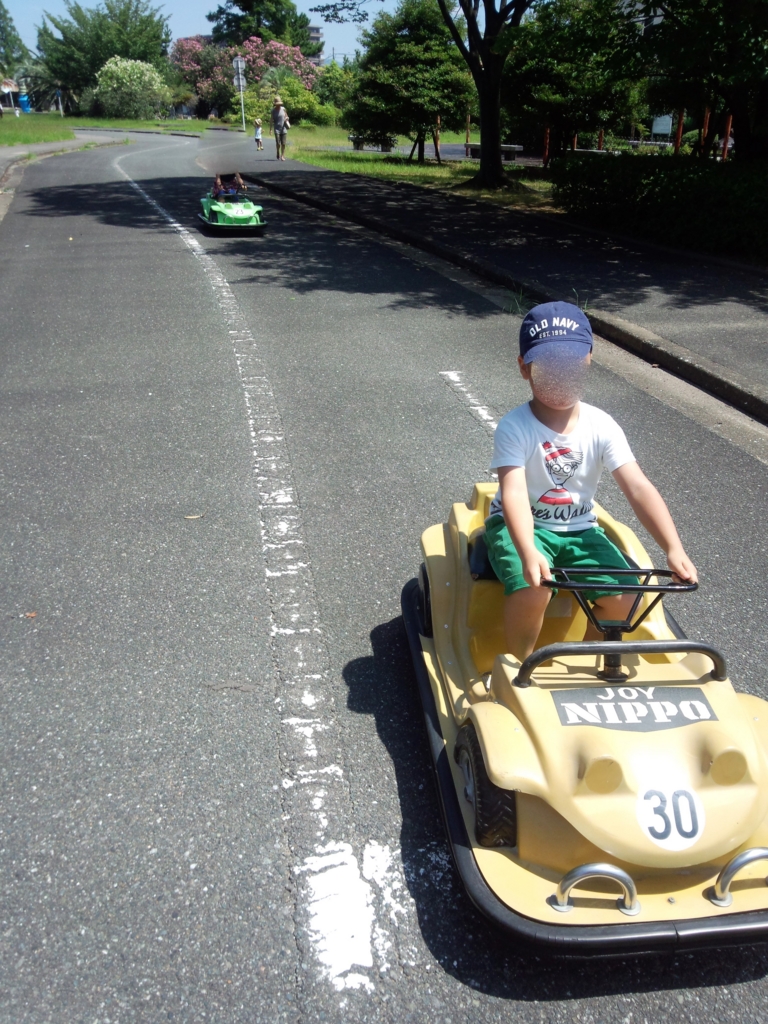 f:id:chitosemidori:20160809174701j:plain