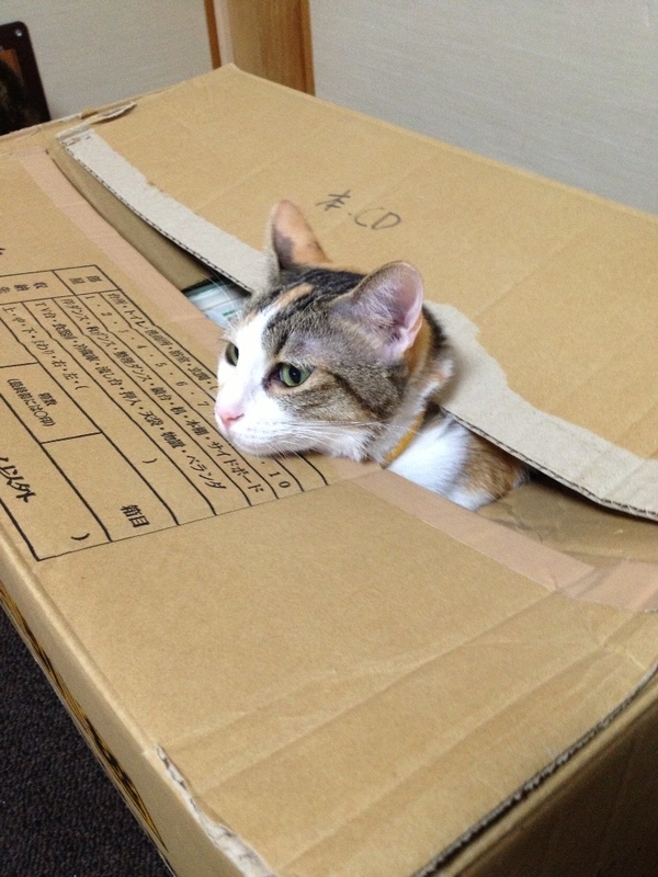 イメージ 3