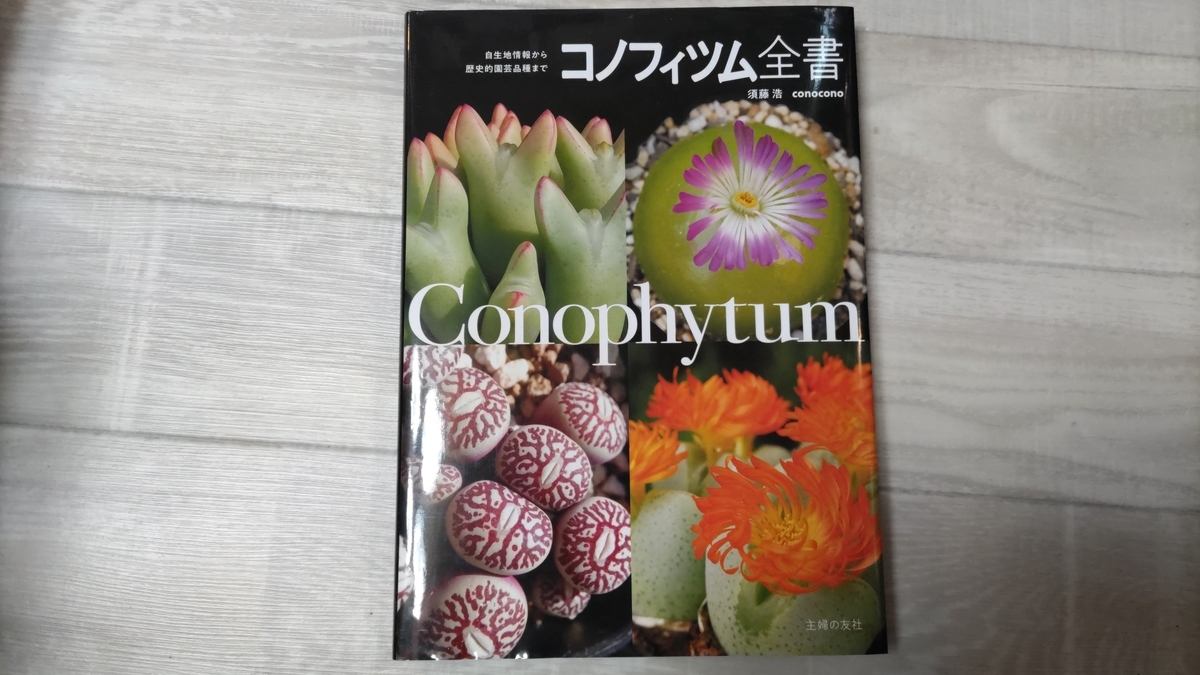 コノフィツム全書 コノフィツム全書 | conocono /須藤浩 |本 | 通販 | Amazon