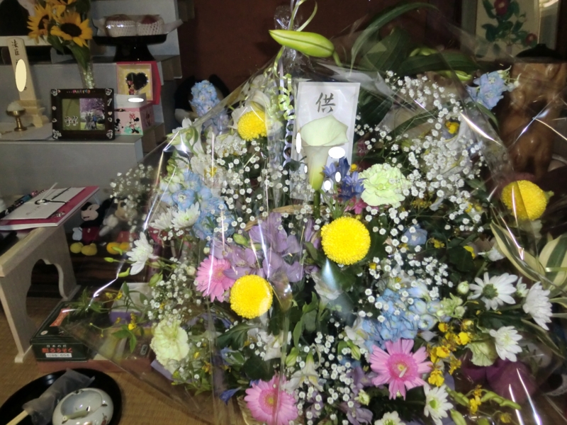 f:id:chiyan-46:20110528110753j:image