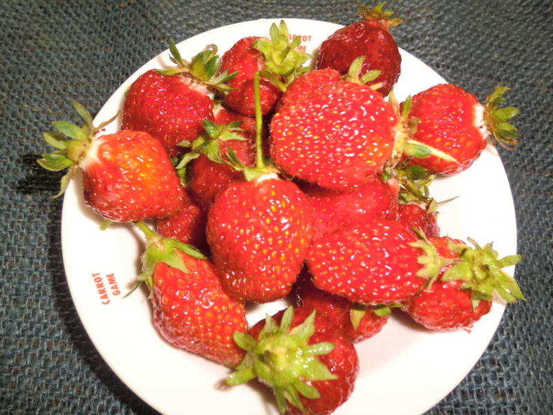 f:id:chiyan-46:20110530163224j:image