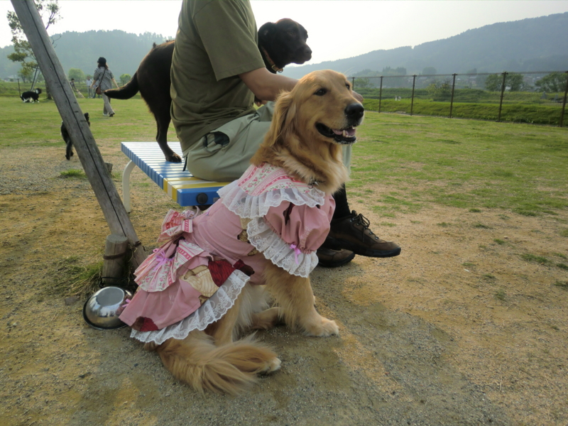 f:id:chiyan-46:20110604163230j:image