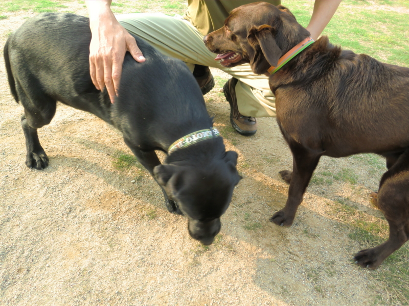 f:id:chiyan-46:20110604163556j:image