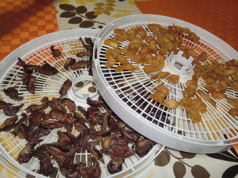f:id:chiyan-46:20110608160505j:image