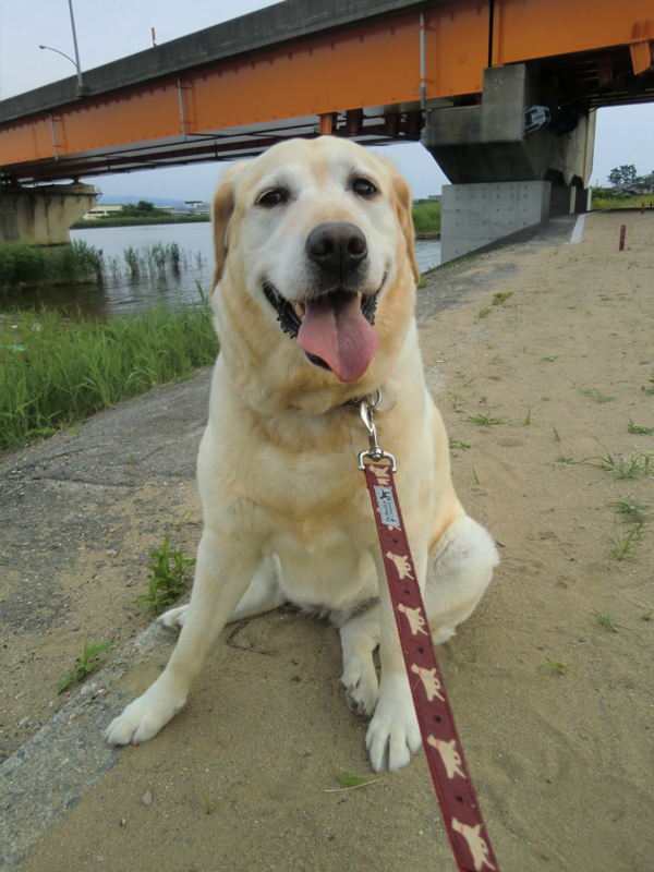 f:id:chiyan-46:20110619170514j:image