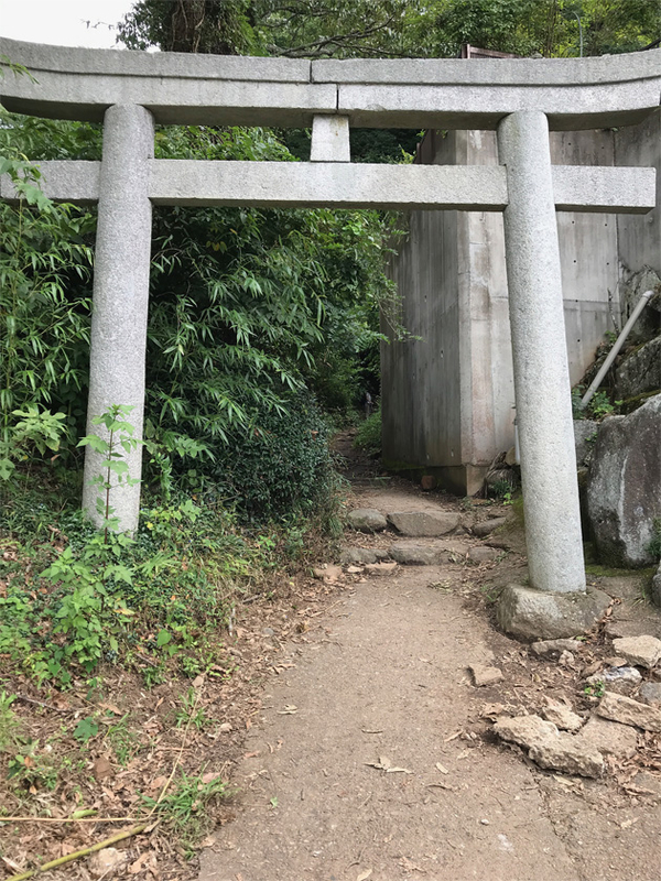 イメージ 2