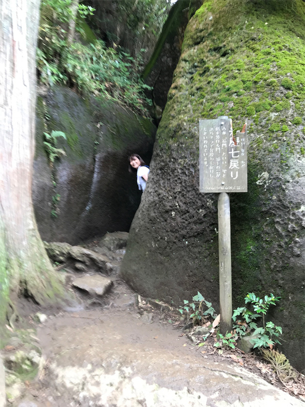 イメージ 6