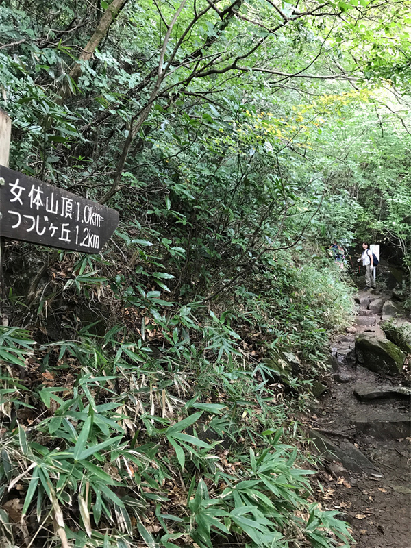 イメージ 8