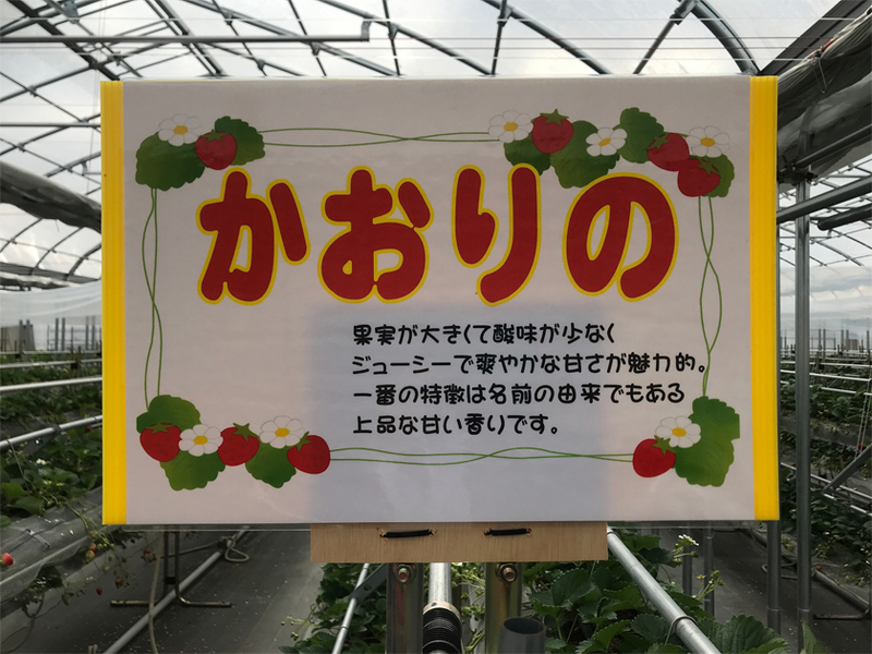 イメージ 5