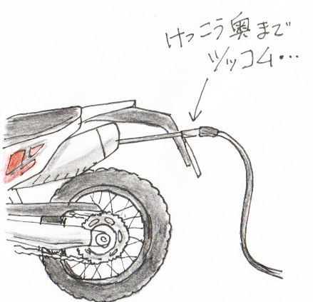 イメージ 7