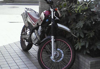 イメージ 5
