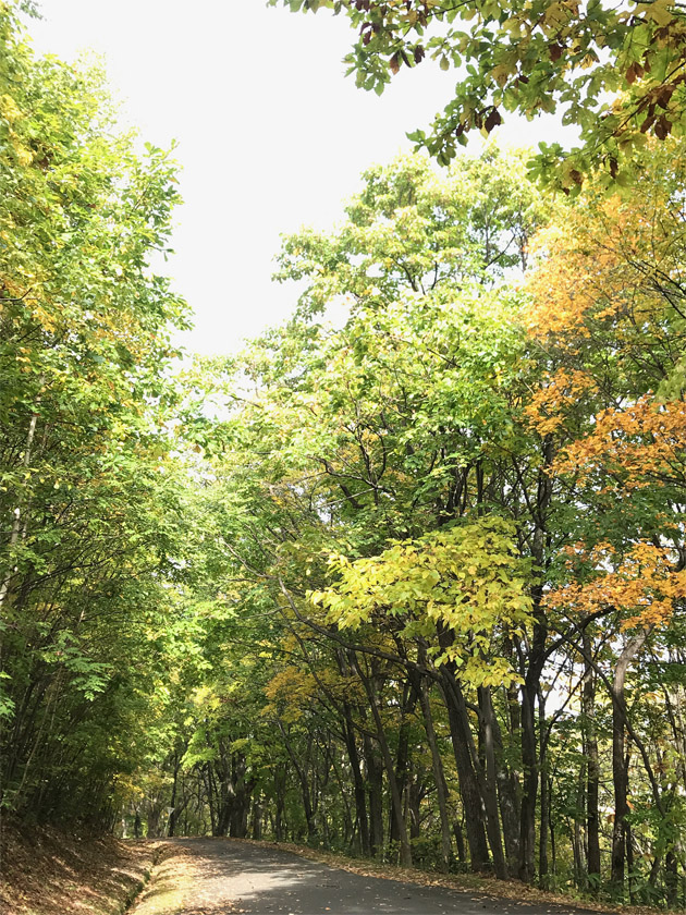 f:id:chiyan1026:20191107174813j:plain f:id:chiyan1026:20191107174813j:plain